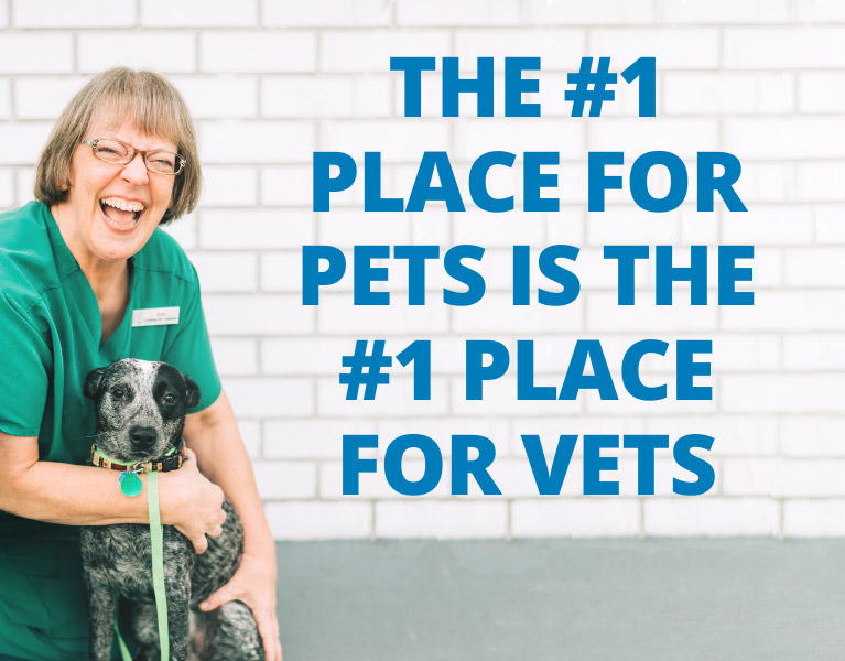 The #1 place for pets is the #1 place for vets.