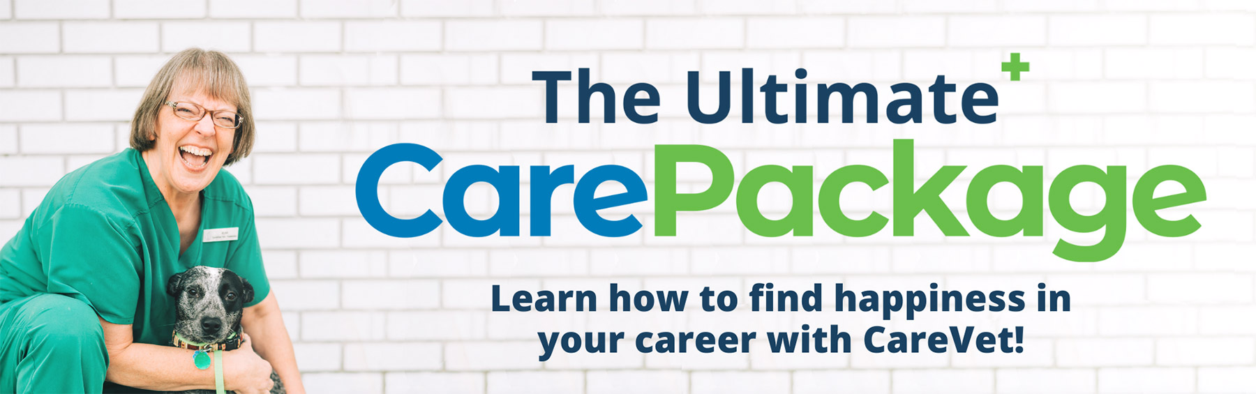The Ultimate CarePackage. Learn how to find happiness in your career with CareVet!
