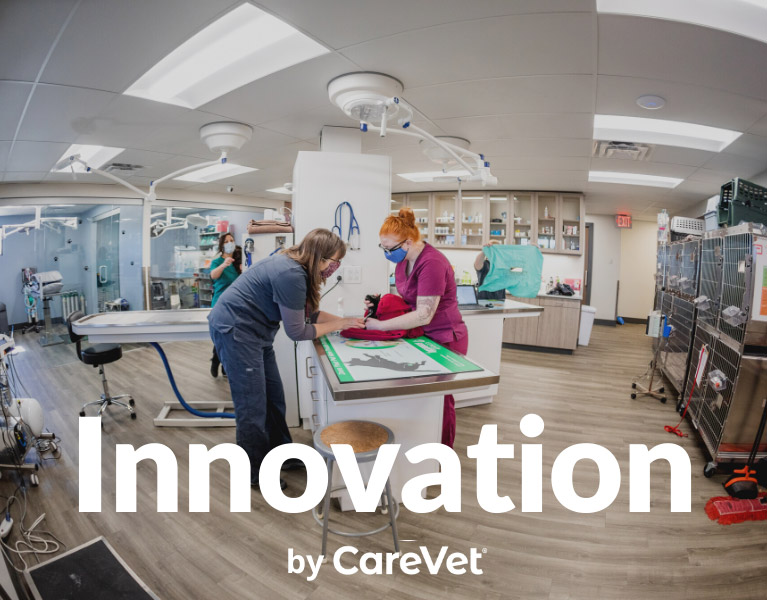 Innovation by CareVet