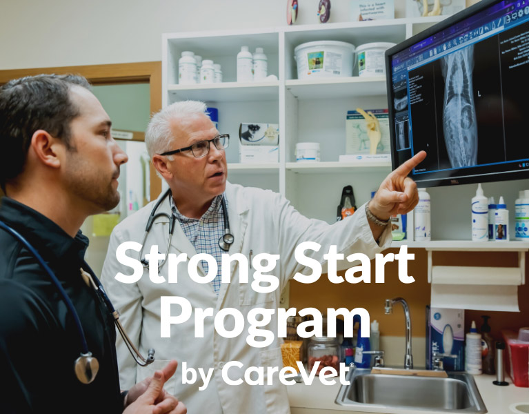 Strong Start Program CareVet