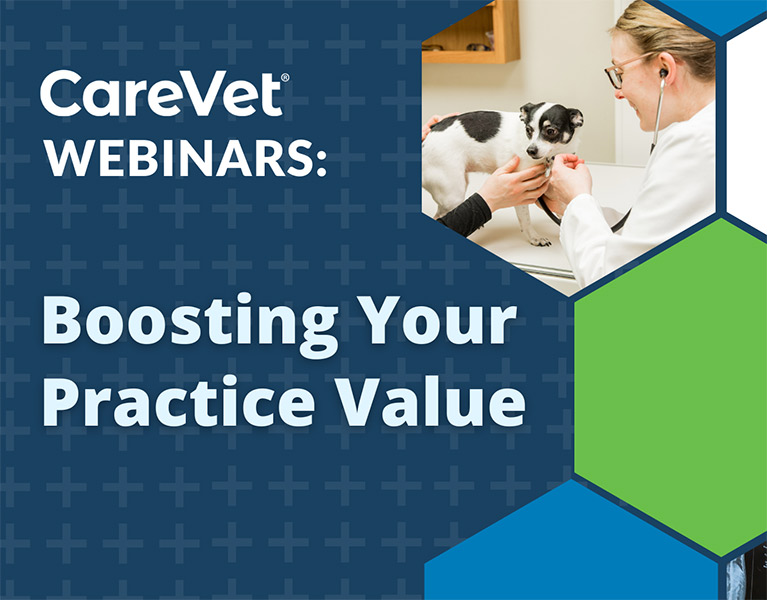 CareVet Webinars: Boosting Your Practice Value