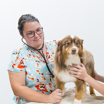 Veterinarians