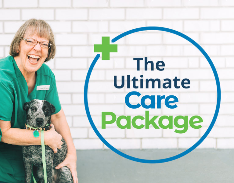 The Ultimate CarePackage