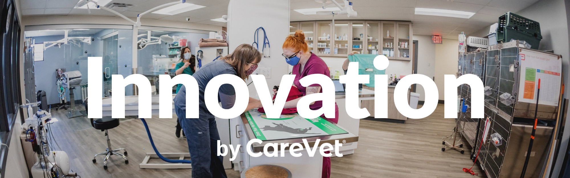 Innovation by CareVet