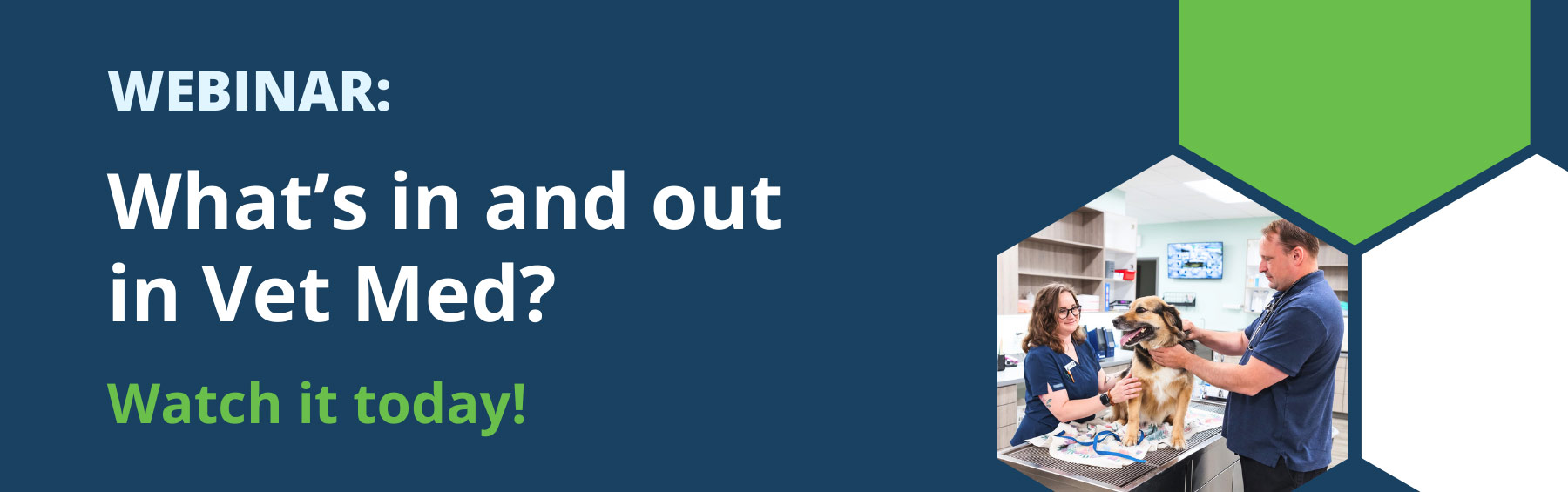 Webinar: What's in and out in Vet Med? Watch it today!