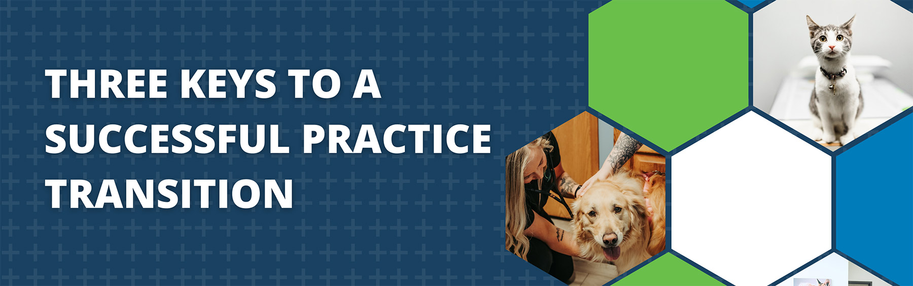 Three keys to a successful practice transition