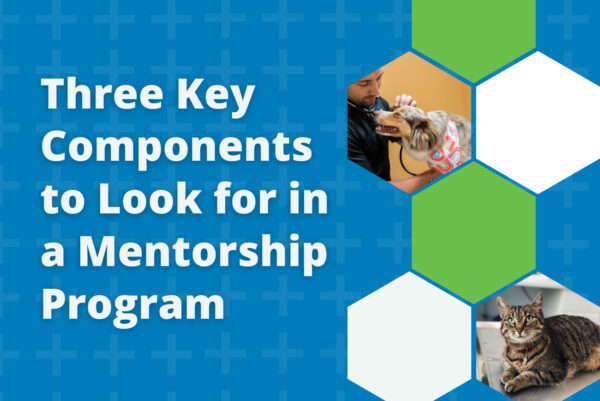 Three Key Components to Look for in a Mentorship Program