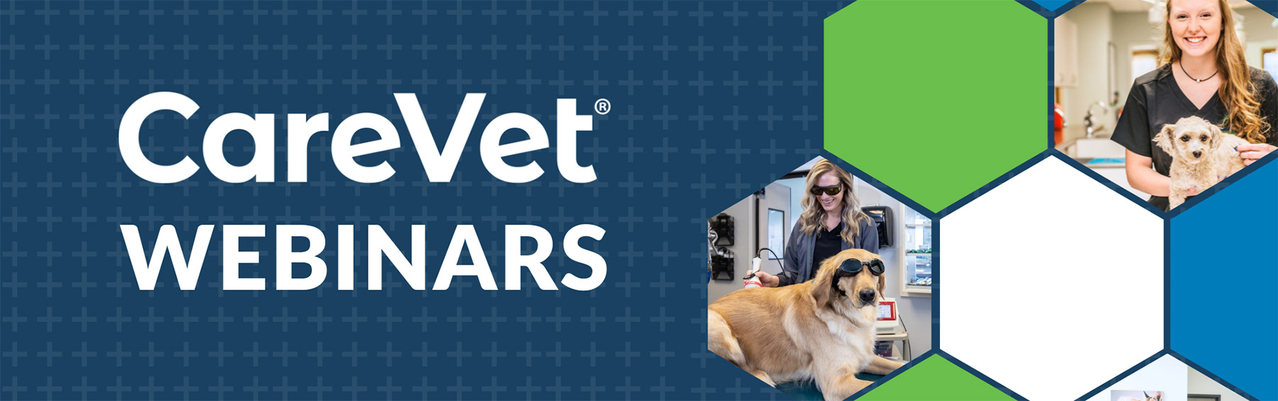 CareVet Webinars