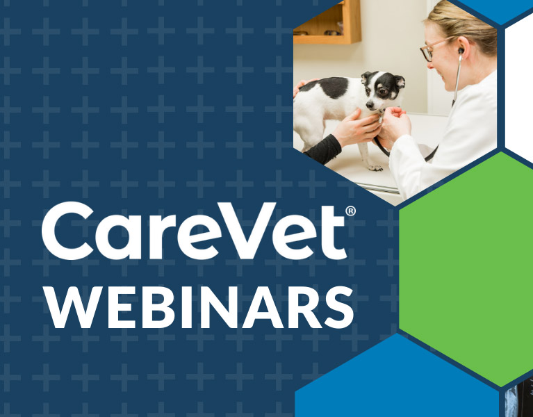 CareVet Webinars