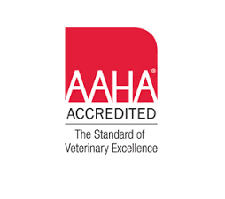 AAHA Accredited